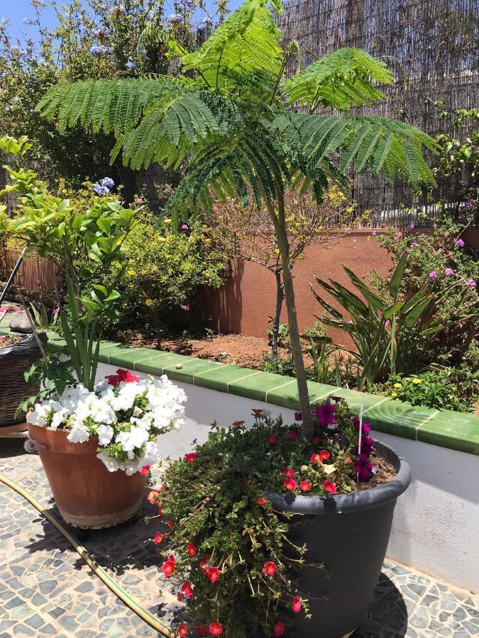 Apartamento Con Encanto En La Playa Frente Al Mar "Posada Rent House" プエルト・デル・ロサリオ エクステリア 写真