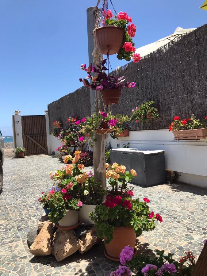 Apartamento Con Encanto En La Playa Frente Al Mar "Posada Rent House" プエルト・デル・ロサリオ エクステリア 写真